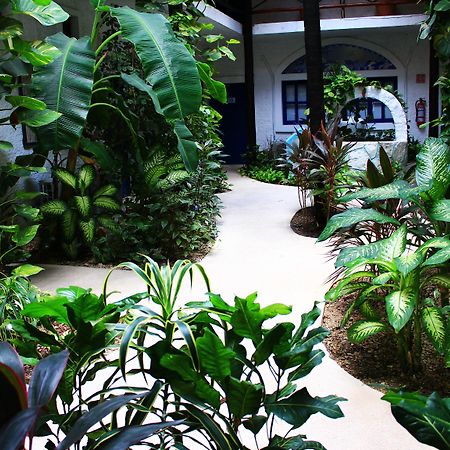 Luna Maya Tulum Zewnętrze zdjęcie